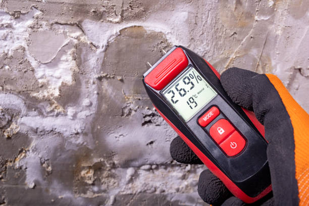 Best Localized Mold Remediation (e.g., coastal areas, humid climates) in Auburn, IL