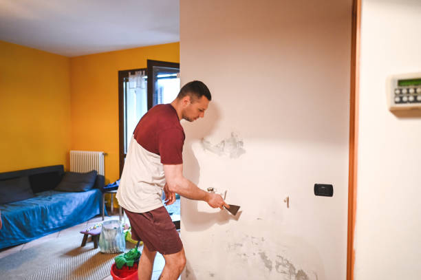 Best Basement Mold Remediation in Auburn, IL